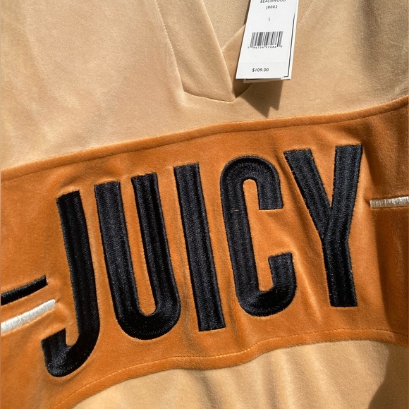 ⭐️HP NWT Juicy Couture Luxe Velour Raglan V Neck Sweater Beachwood Tan Large - Picture 5 of 12